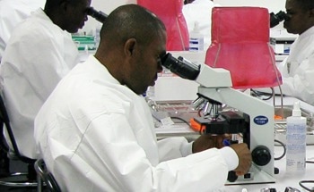Electricity Crisis Affects Research Output in South Africa