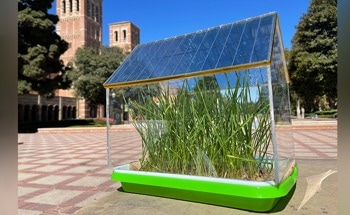 Promising Solar-Energy-Harvesting Technology Emerges