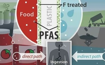 Food Stored in Fluorinated Containers Poses Significant Risks
