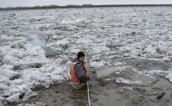 Important Contributors to Carbon Export in the Arctic’s Major Rivers