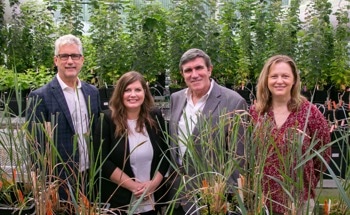 DOE Funding Promotes the Production of Plant-Based Fuels and Chemicals