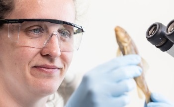 How Does Climate Change Impact Parasite Biodiversity?