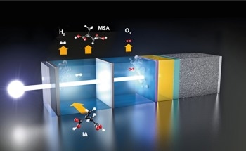 Novel Sustainable Approach for Green Hydrogen Production