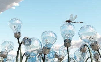 Extreme Temperature Events Could Increase the Impact of Pesticides on Bees