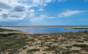 REST-COAST Summer Workshop Focuses on Coastal Management and Restoration