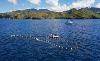 Seafields Wins Innovate UK Funding to Enable Large-Scale Carbon Removal Offshore Aquafarming