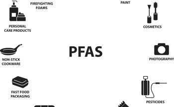PFAS: 'Forever Chemicals' and Their Environmental Risk
