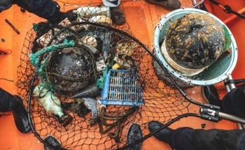 Neopelagic Communities and Their Survival on High Seas