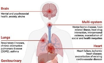 Is Radiology the Key to a More Sustainable Healthcare System?