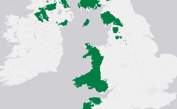 First Locations for the Wildlife Trusts’ Atlantic Rainforest Recovery Programme Announced