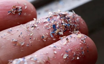 Categorizing Plastics—A Powerful Tool to Combat Plastic Pollution