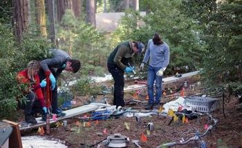 Carbon Stocks Found in Deep Soil As a Result of Climate Change
