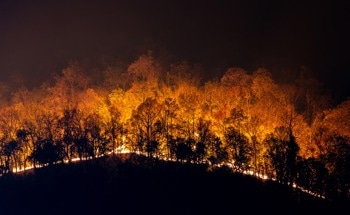 Consequences of Wildfire-Related PM2.5 Exposure on Mortality