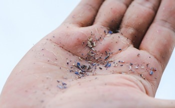 Hyperspectral Imaging Precisely Detects Label-Free Microplastics