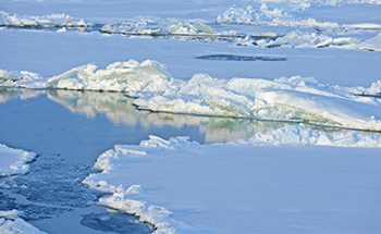Climate Change Drives Snow Loss in Northern Hemisphere