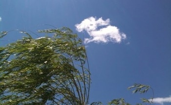 Affordable Technology Reduces Nitrous Oxide Emissions