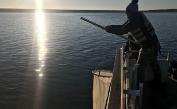Microplastic Contamination Studied on a Global Scale