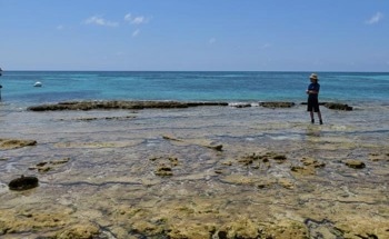 Impacts of Salinity Changes on Marine and Coastal Ecosystems