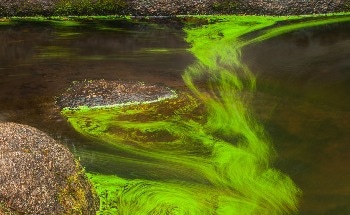 Marine Heatwaves Threaten Ecological Communities in Protected Ocean Areas