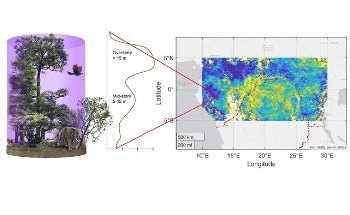 GEDI Data Helps Scientists Understand How Rainforests Function