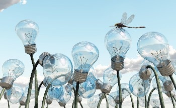 Using Synthetic Biology to Manufacture Sustainable Products