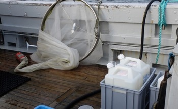 Biosurfactants: An Eco-Friendly Way to Clean Up Oil Spills