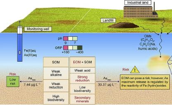 What Factors Influence Arsenic Mobilization and Release?