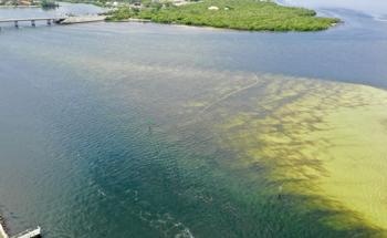 Rising Temperatures Offset Nitrogen Pollution in Waterways