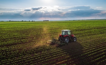 Adding Rocks to Fields Could Help Meet IPCC Carbon Goals