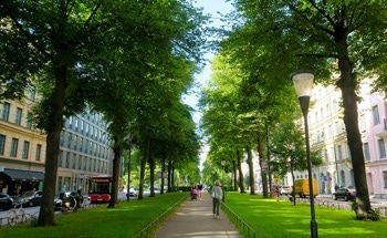 Green Infrastructure Key to Net Zero Carbon Cities