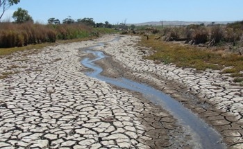 Climate Change and Extreme Weather Damage River Water Quality
