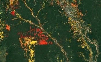 New Cutting-Edge Space Technology to Revolutionize Global Forest Protection