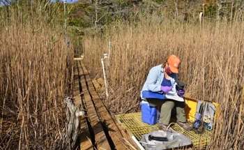 Can Oceans Store More CO2 to Help With Climate Change?