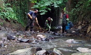 The Hidden Impact of Treated Wastewater on River Ecosystems