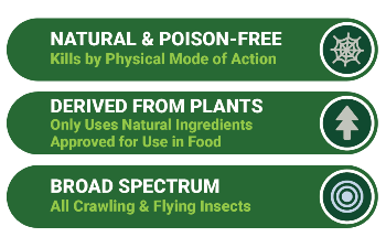 A Natural Insecticide for Greener Pest Management