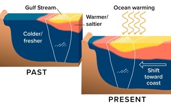 Climate Change Warms and Shifts Gulf Stream