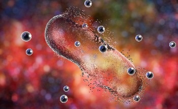 Variable Phytoplankton Stoichiometry Can Impact Global Climate