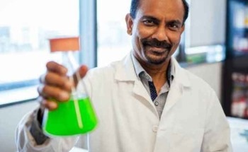The Remarkable Potential of Algae to Allay Climate Change Concerns