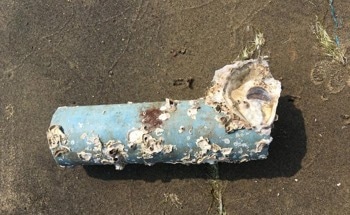 The Potential Hazard of Invasive Species Colonization on Marine Debris