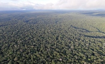 Amazon Deforestation Has a Far-Reaching Warming Effect