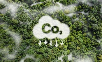 OU Professor Receives Grant to Study Carbon Dioxide Fixation