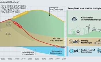 Reforestation and Rainforest Preservation Preferred for Climate Action