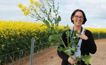 New Digital Tool to Increase Farm Profitability and Sustainability