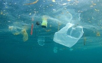 Assessing Pollution, Waste, and Chemicals Amid Conflicts of Interest