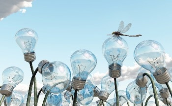 Using Neuroscience to Fight Against Climate Change