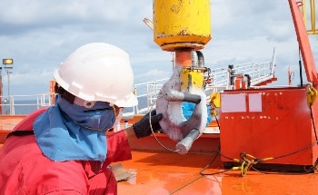 'Blue Fish Tick' has been the Key Driver of Sustainable Fishing in Australia for Over Two Decades, a New Report Reveals