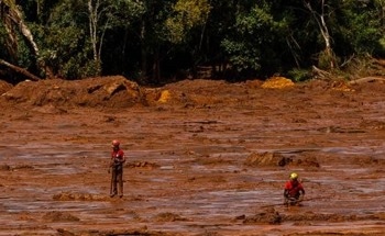 Risks of Mine Tailings on Biodiversity