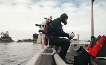 Using Military Forces to Combat Ocean Noise Pollution in Canada