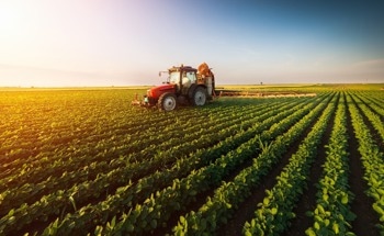 Climate Change Induced Transformations of Agricultural Systems