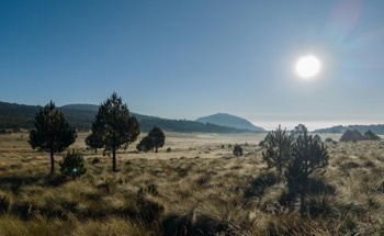 Influence of Unequal Climate on Global Values of Natural Capital